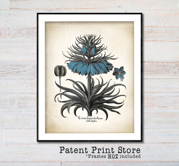 Vintage Blue Botanical Print. Botanical Print. Art Print. Blue Flower Art. Antique Botanical Prints. Wall Art. Farmhouse Decor.Bathroom Art.