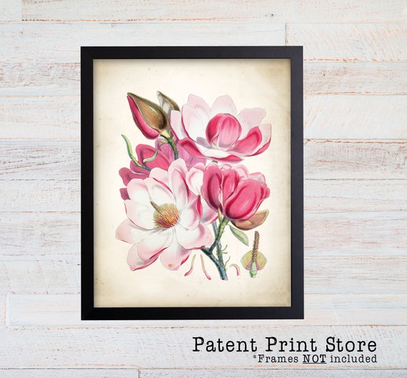 Vintage Magnolia Print. Botanical Print. Pink Magnolia Art. Antique Botanical Prints. Wall Art. Farmhouse Decor. Dining Room Art. 075