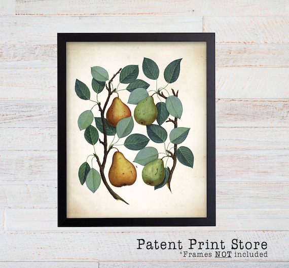 Antique Pear Print. Pear Illustration. Pear Art. Kitchen Decor. Kitchen Sign. Kitchen Wall Decor. Kitchen Art. Kitchen Wall Art. Dining Room
