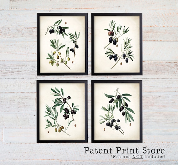 Vintage Olive Art Prints. Botanical Print. Botanical poster. Botanical Illustration. Botanical Wall Art. Olive Tree. Farmhouse Decor. (119)