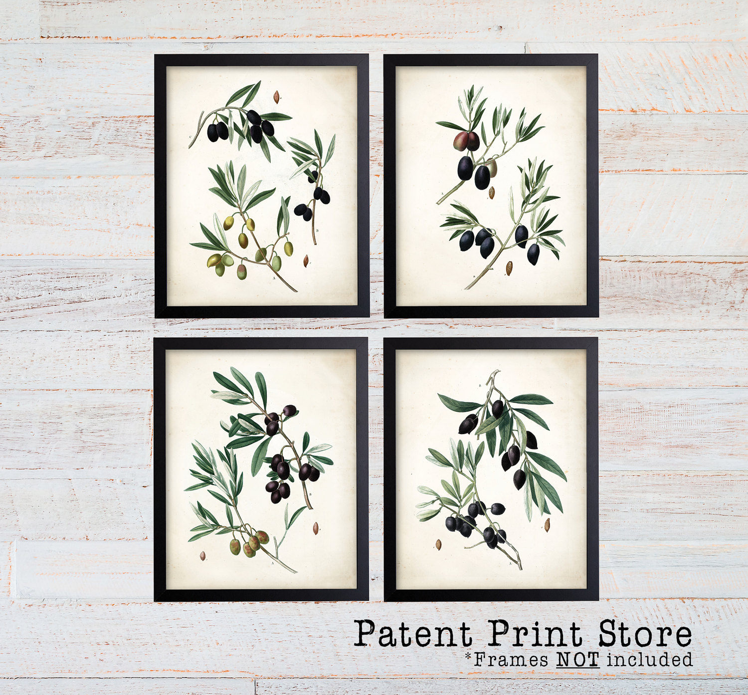 Vintage Olive Art Prints. Botanical Print. Botanical poster. Botanical ...