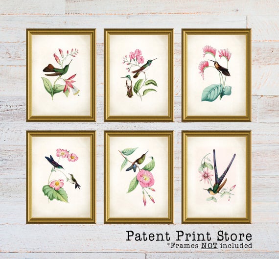 Hummingbird Art Prints. Hummingbird Print. Hummingbird Art. Bedroom. Bird Prints. Dining Room Art Prints. Wall Art. Farmhouse Decor. 136