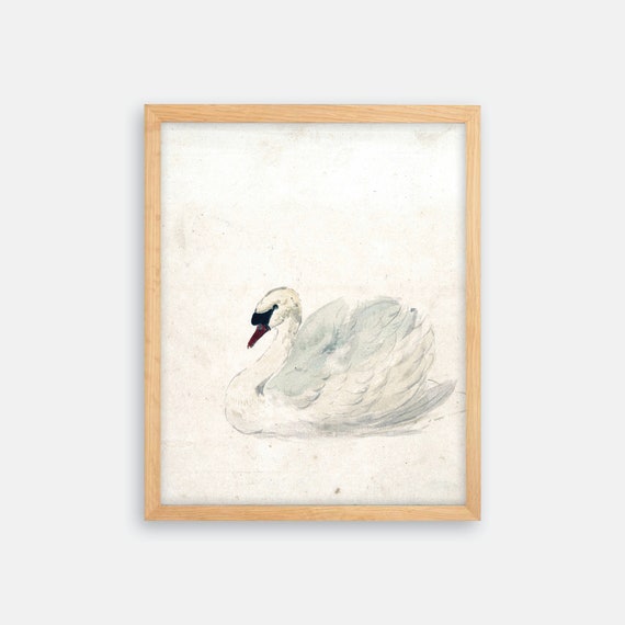 Vintage Swan Art Print. Vintage Bird Print. Swan Print. Bird Wall Decor. Bird Art. Farmhouse Art. Farmhouse Print. Bird Decor. Swan Nursery
