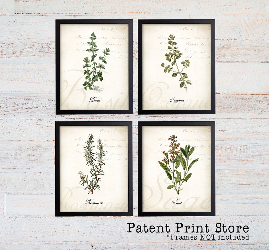 botanical herb prints set of 4 unframed botanical herb... Botanical Herb Art Prints, Kitchen Wall Decor (set of 4) - Etsy