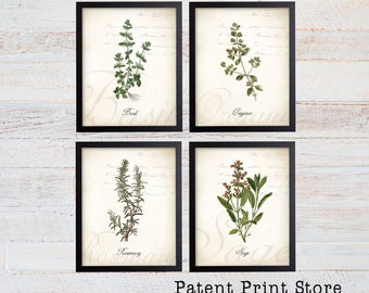 Botanical Herb Art Prints, Kitchen Wall Decor (Set of 4)
