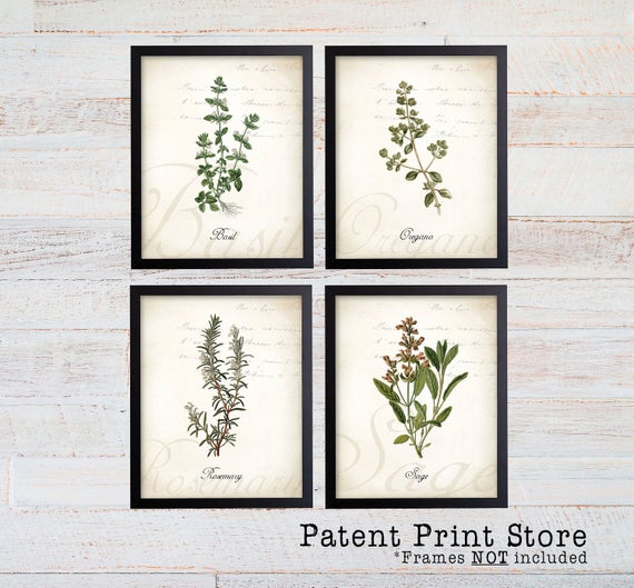 Herb Botanical Art Prints. Herb Prints. Herb Wall Art. Botanical Print. Kitchen Art Prints. Dining. Botanical Wall Art. Farmhouse Decor. 124