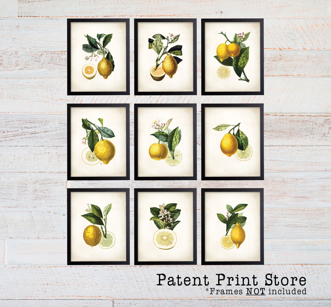 Lemon Botanical Art Prints. Lemon Prints. Flower Wall Art. Botanical ...