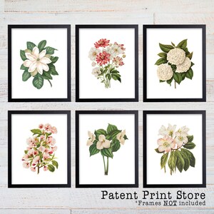 Puede incluir: Conjunto de seis estampados bot&aacute;nicos con diferentes flores blancas con hojas verdes. Los estampados est&aacute;n enmarcados en marcos negros y se muestran sobre un fondo de madera blanca. El texto "Patent Print Store" y "*Marcos NO incluidos" se muestra debajo de los estampados.