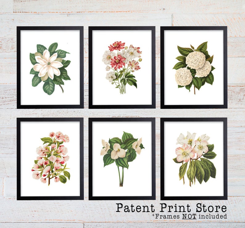 Puede incluir: Conjunto de seis estampados bot&aacute;nicos con diferentes flores blancas con hojas verdes. Los estampados est&aacute;n enmarcados en marcos negros y se muestran sobre un fondo de madera blanca. El texto "Patent Print Store" y "*Marcos NO incluidos" se muestra debajo de los estampados.