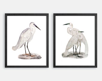 Vintage Heron Print Set. Bird Prints. Heron Art Prints. Coastal Art, Beach House Wall Art. Coastal Decor. Beach Cottage Art. Nautical Art