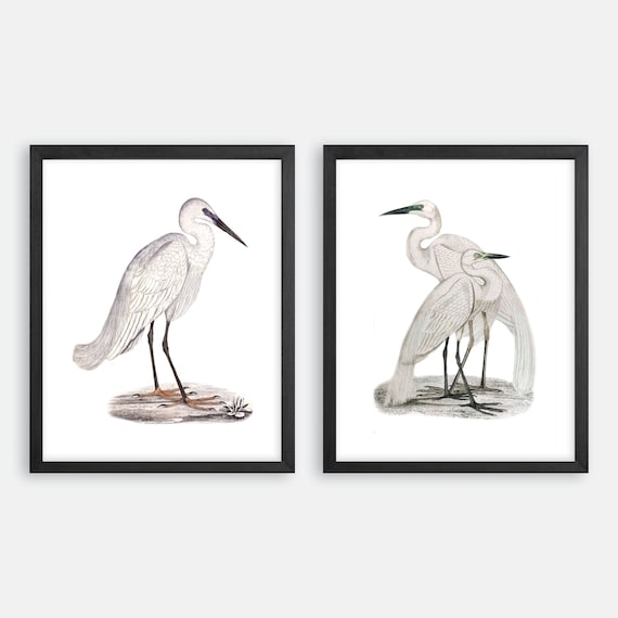 Vintage Heron Print Set. Bird Prints. Heron Art Prints. Coastal Art, Beach House Wall Art. Coastal Decor. Beach Cottage Art. Nautical Art