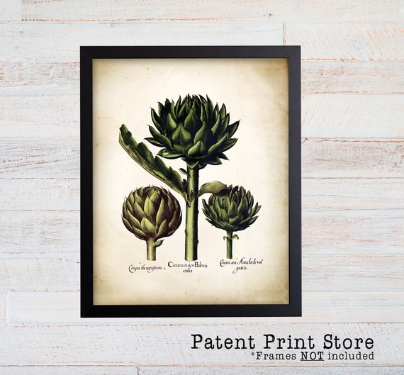 Vintage Artichoke Print. Botanical Print. Besler Artichoke Art. Antique Botanical Prints. Wall Art. Farmhouse Decor. Dining Room Art. 100