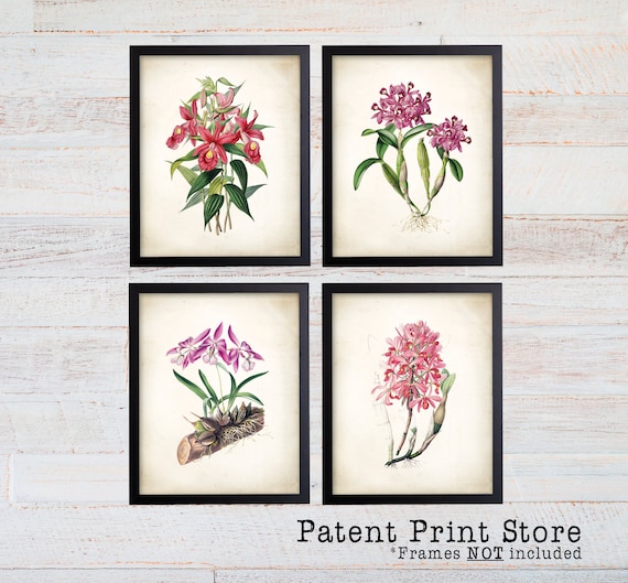 Pink Orchid Art Print Sets. Pink Flower Prints. Pink Botanical Print Set. Flower Prints. Orchid Prints. Botanical Wall Art. Farmhouse. 302