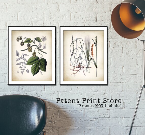 Hops and Barley Prints. Hops Print. Barley Print. Beer Making Botanical Prints. Beer Art. Beer Prints. Man Cave Art Prints. Mancave Decor.