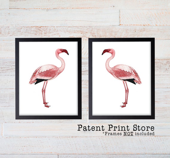 Flamingo Prints. Flamingo Decor. Flamingo Posters. Flamingo Wall Art. Flamingo Art. Vintage Flamingo Prints. Pink Flamingo Gift. 293