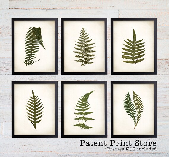 Vintage Ferns Prints. Botanical Print. Art Print. Fern Prints. Antique Botanical Prints. Wall Art. Farmhouse Decor. Dining Room Art. 146