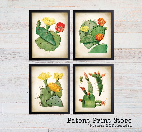 Cactus Print Set, Cactus Posters, Southwestern Art, Desert Decor, Desert Art, Botanical Prints, Cactus Blossoms, Prints and Posters. 245