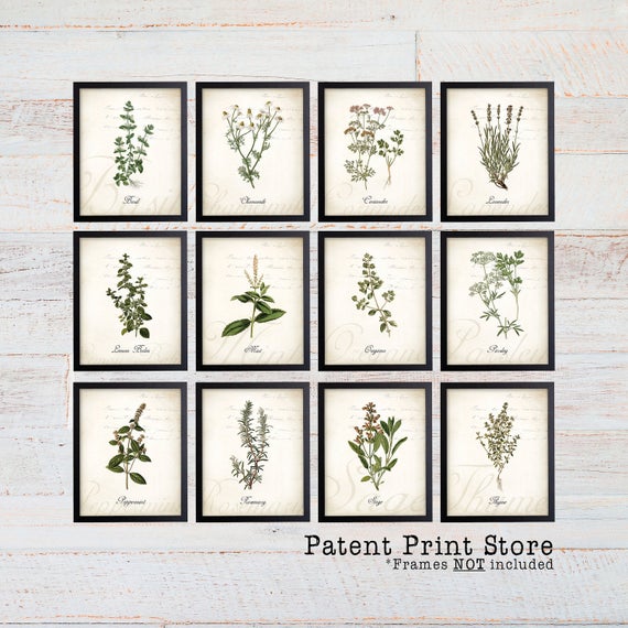 Herb Botanical Art Prints. Herb Prints. Herb Wall Art. Botanical Print. Kitchen Art Prints. Dining. Botanical Wall Art. Farmhouse Decor. 105
