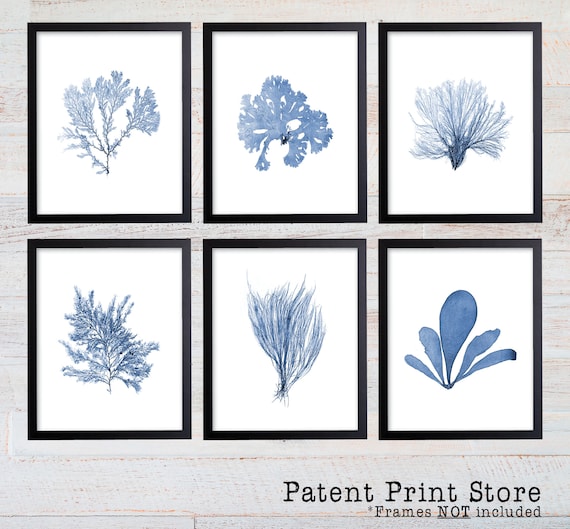 Blue Sea Coral Print Set, Coral Art Set, Giclee Art Print, Beach House Art, Coastal Art, Prints and Posters, Coral Print, Illustration. 244