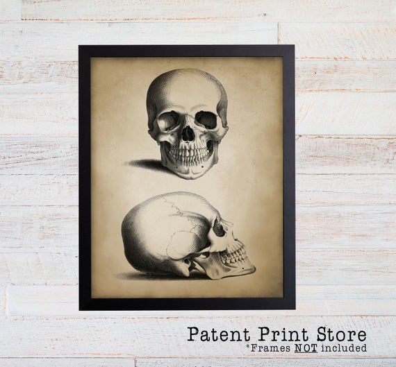 Antique Skull Print. Skull Art. Skull Decor. Vintage Anatomy Art. Anatomy Print. Anatomy Poster. Science Art. Science Gift. Anatomy Gift