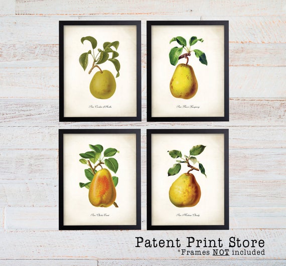 French Pear Print Set. PearArt Print. Botanical Art. Botanical Print Set. Vintage Fruit Prints. Illustration. Kitchen Art. Farmhouse Decor.