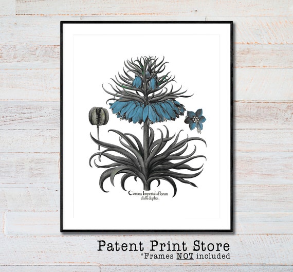 Vintage Blue Botanical Print. Botanical Print. Art Print. Blue Flower Art. Antique Botanical Prints. Wall Art. Farmhouse Decor.Bathroom Art.