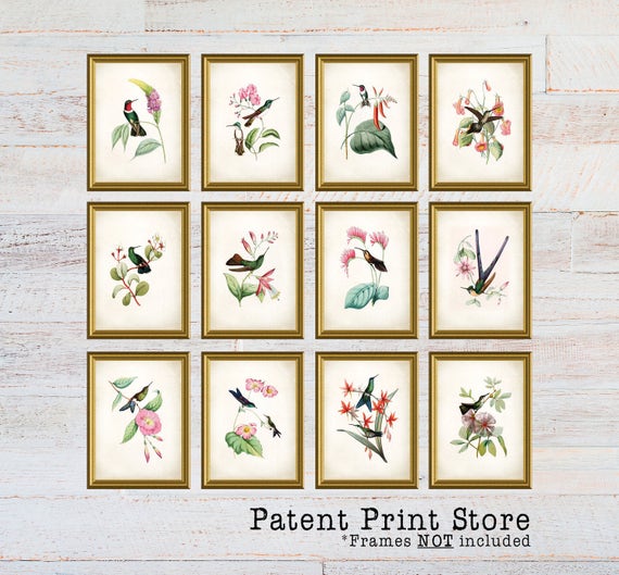 Hummingbird Art Prints. Hummingbird Print. Hummingbird Art. Bedroom. Bird Prints. Dining Room. Wall Art. Farmhouse Decor. 135