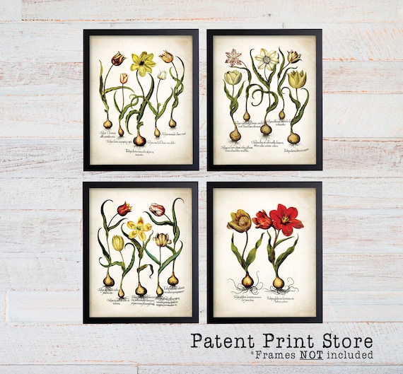 Antique Tulips Print Set. Botanical Prints .Botanical Art. Tulip Print. Vintage Botanicals. Bestir. Art Print. Flower Prints. Bedroom. Bath.