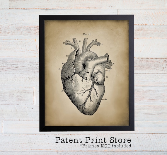 Anatomical Heart Print, Human Heart Anatomy Print, Heart Illustration, Heart Anatomy Print, Vintage Medical Illustration, Heart Wall Art