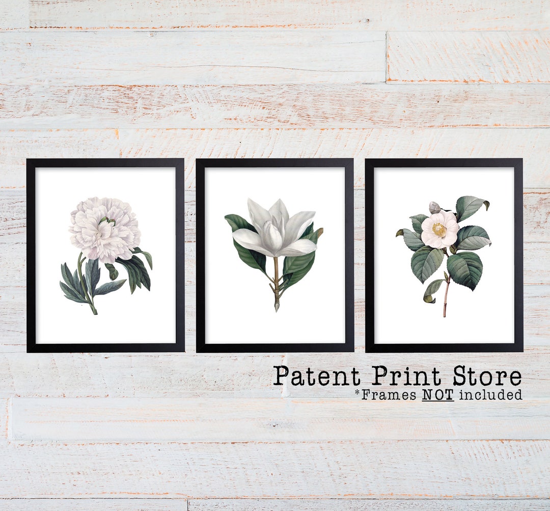 White Flower Art Prints, Botanical Wall Decor (set of 3) - Etsy