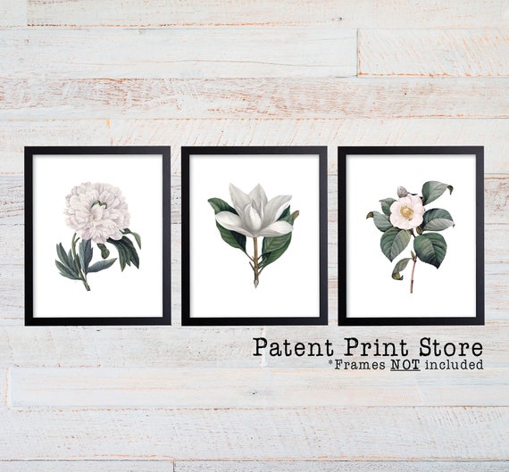 White Botanical Art Prints. White Flower Prints. Flower Wall Art. Botanical Print. Kitchen Art Prints. Dining. Botanical Art. Farmhouse. 291
