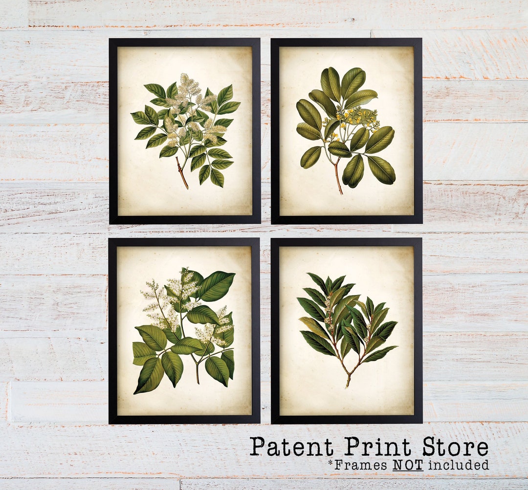 Green Tree Leaves Print Set of 4. Antique Botanical Green Tree Leaf Art ...