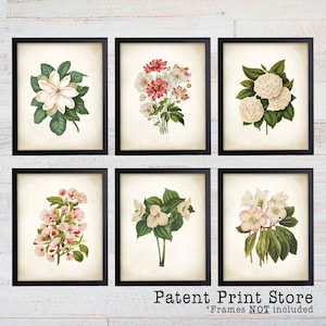 Puede incluir: Conjunto de seis estampas bot&aacute;nicas vintage con diferentes flores blancas y rosas con hojas verdes. Las estampas est&aacute;n enmarcadas en marcos negros y se muestran sobre un fondo de madera blanca. El texto "Patent Print Store" y "*Frames NOT included" est&aacute; en la parte inferior de la imagen.