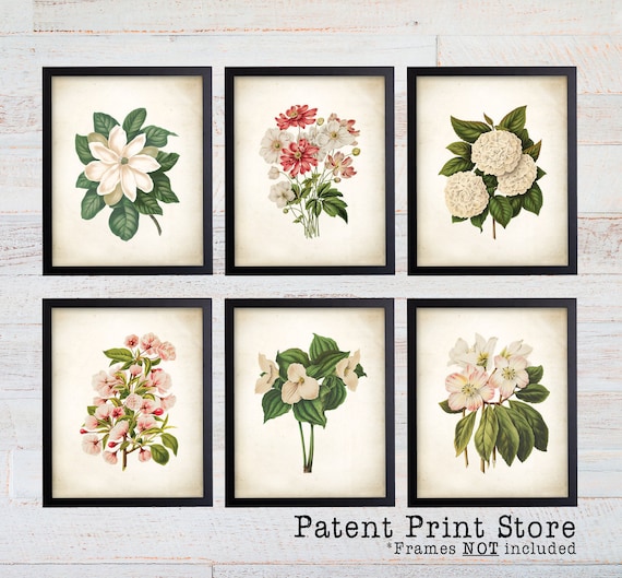 Wendel Botanical Print Set. Botanical Print. Art Print. Wall Art. Botanical Poster. Floral Prints. Antique Botanical Prints. Dining Room Art