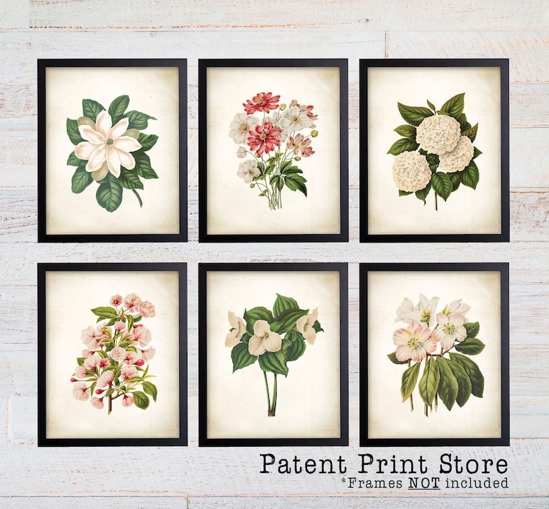 Puede incluir: Conjunto de seis estampas bot&aacute;nicas vintage con diferentes flores blancas y rosas con hojas verdes. Las estampas est&aacute;n enmarcadas en marcos negros y se muestran sobre un fondo de madera blanca. El texto "Patent Print Store" y "*Frames NOT included" est&aacute; en la parte inferior de la imagen.