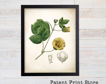 Vintage Cotton Print. Botanical Print. Art Print. Cotton Art. Antique Botanical Prints. Wall Art. Farmhouse Decor. Farmhouse Sign. Was Art.