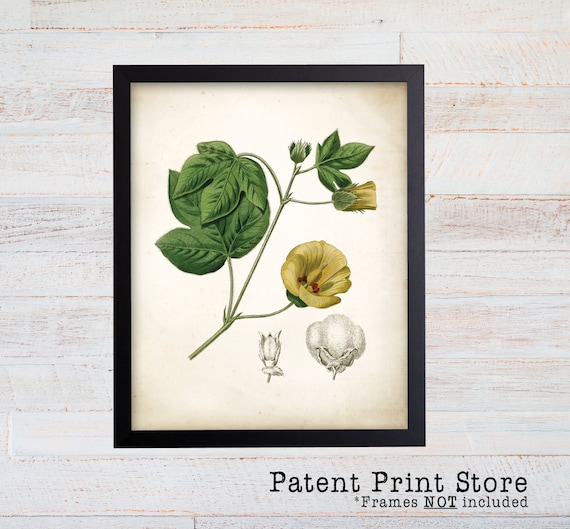 Vintage Cotton Print. Botanical Print. Art Print. Cotton Art. Antique Botanical Prints. Wall Art. Farmhouse Decor. Farmhouse Sign. Was Art.