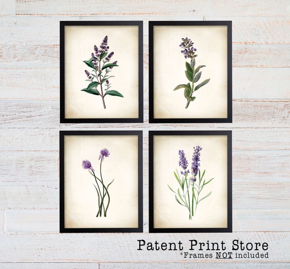 Purple Herb Botanical Art Prints. Herb Prints. Herb Wall Art. Botanical Print. Kitchen Prints. Dining. Botanical Wall Art. Farmhouse Decor.