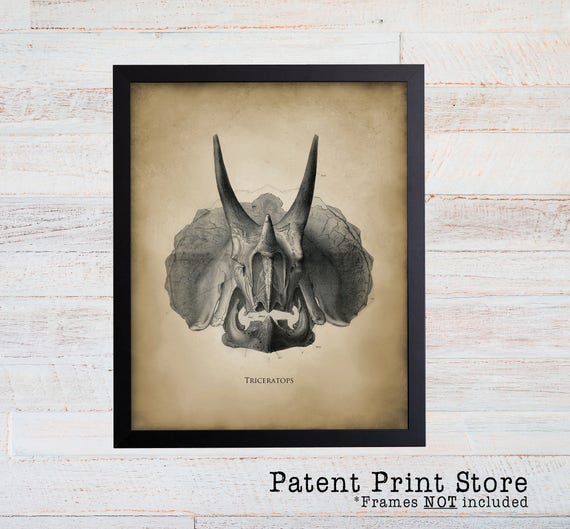 Vintage Triceratops Print. Vintage Dinosaur Art Print. Dinosaur Nursery. Dinosaur Bedroom. Dinosaur Fossil Art. Dinosaur Decor. 88