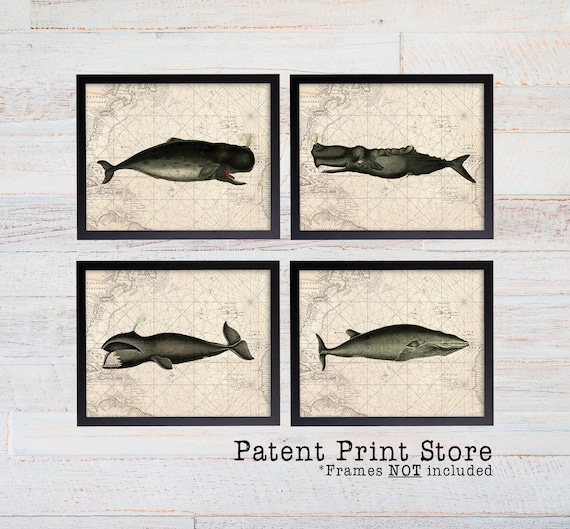 Vintage Whale Art. Whale Print Set. Rustic Whale Nursery. Nautical Decor. Nautical Wall Decor. Coastal Decor. Coastal Wall Art. Coastal Art.