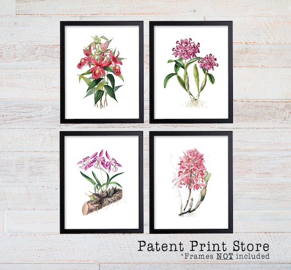 Pink Orchid Art Print Sets. Pink Flower Prints. Pink Botanical Print Set. Flower Prints. Orchid Prints. Botanical Wall Art. Farmhouse. 302