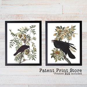 May include: Two framed prints featuring detailed illustrations of black crows perched on branches with green and yellow foliage. The prints are in black frames and the text "Patent Print Store" is at the bottom.