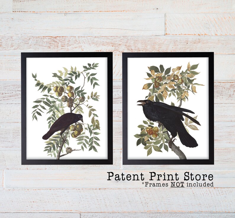 May include: Two framed prints featuring detailed illustrations of black crows perched on branches with green and yellow foliage. The prints are in black frames and the text "Patent Print Store" is at the bottom.