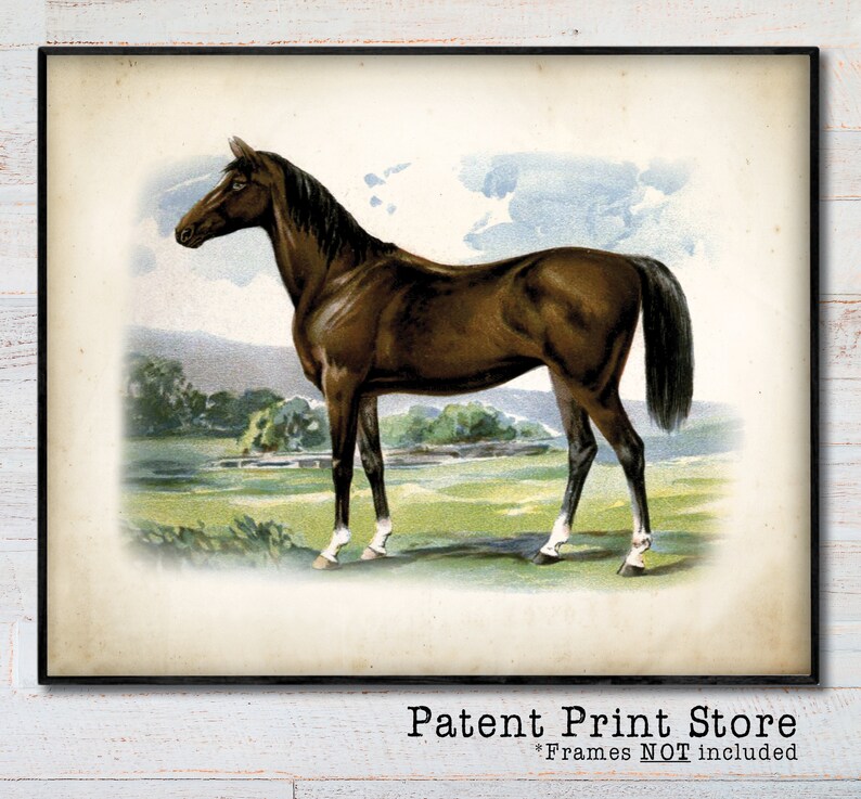 May include: A framed vintage print of a brown horse in a field. The horse has a dark mane and tail, with white markings on its legs. The background features a green field, trees, and a blue sky with clouds. Text at the bottom reads "Patent Print Store".