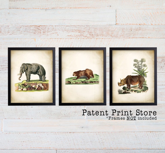 Natural History Prints. Natural History Art. Natural History Poster. Vintage Animal Art Prints. Sloth Art. Elephant Art. Rhino Art. 240