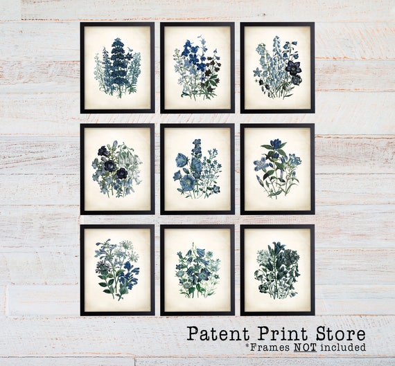 Blue Botanical Print Set. Antique Botanical Print. Illustration. Blue Flower Prints. Flower Wall Art. Botanical Wall Art. Farmhouse Art. 297