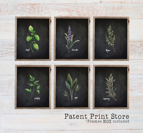 Herb Botanical Art Prints. Herb Prints. Herb Wall Art. Botanical Print. Kitchen Art Prints. Dining. Botanical Wall Art. Farmhouse Decor. 360