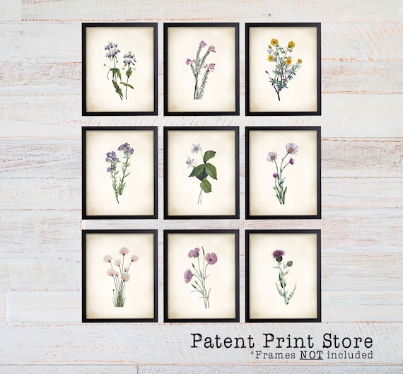 Wild Flower Art Prints. Wildflower Art. Wildflower Prints. Farmhouse Art. Floral art prints. Botanical prints. Botanical Wall Art Decor.