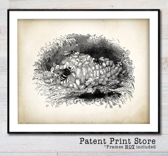 Vintage Bee Art Print. Farmhouse Decor. Farmhouse Wall Decor. Farmhouse Art. Kitchen Art. Dining. Gift. Beekeeping Print. Bee Print