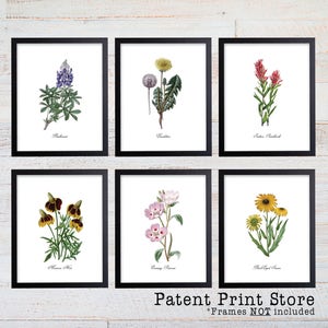 Texas Wildflower Botanical Art Prints. Botanical Print. Wildflower Print. Botanical poster. Botanical Illustration. Botanical Art. Farmhouse image 2